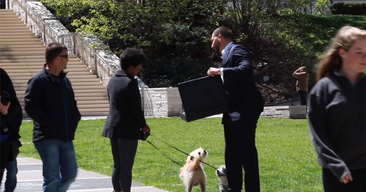 Venderesti il tuo cane per 100 mila dollari? Ecco le reazioni dei proprietari