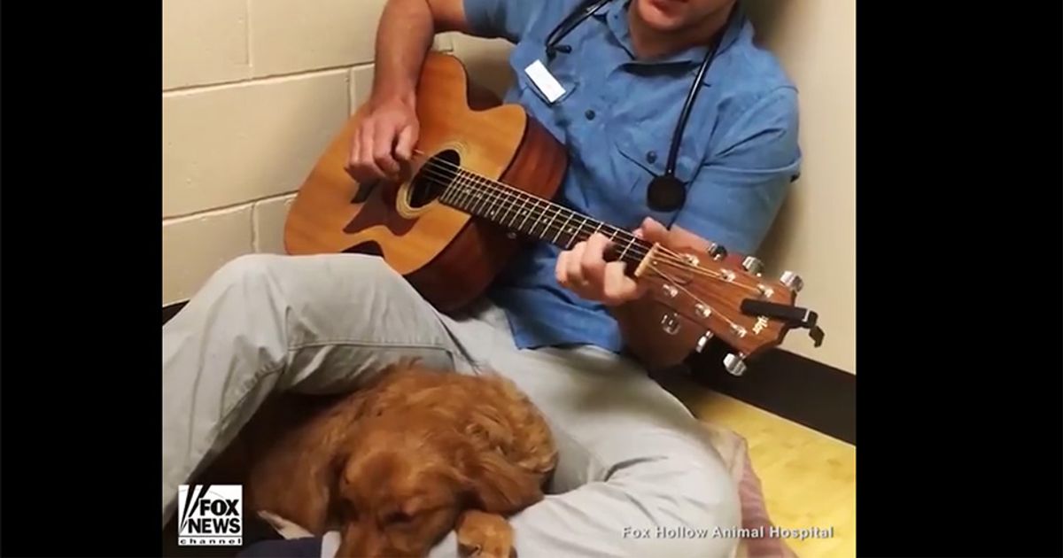 Il veterinario che tranquillizza un cucciolo cantando una canzone