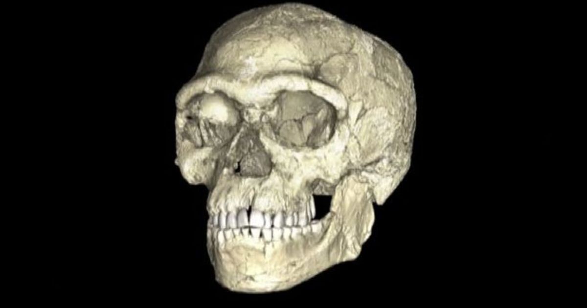 L’Homo sapiens è più vecchio di 100mila anni