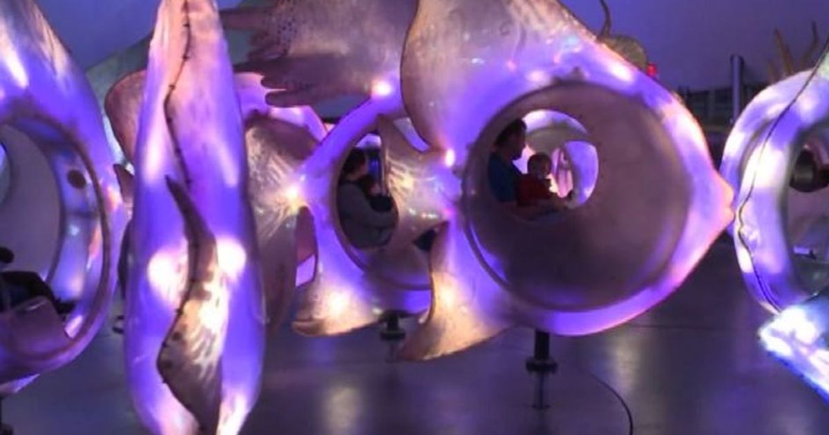 Come un pesce in mare: la giostra magica a Battery Park New York