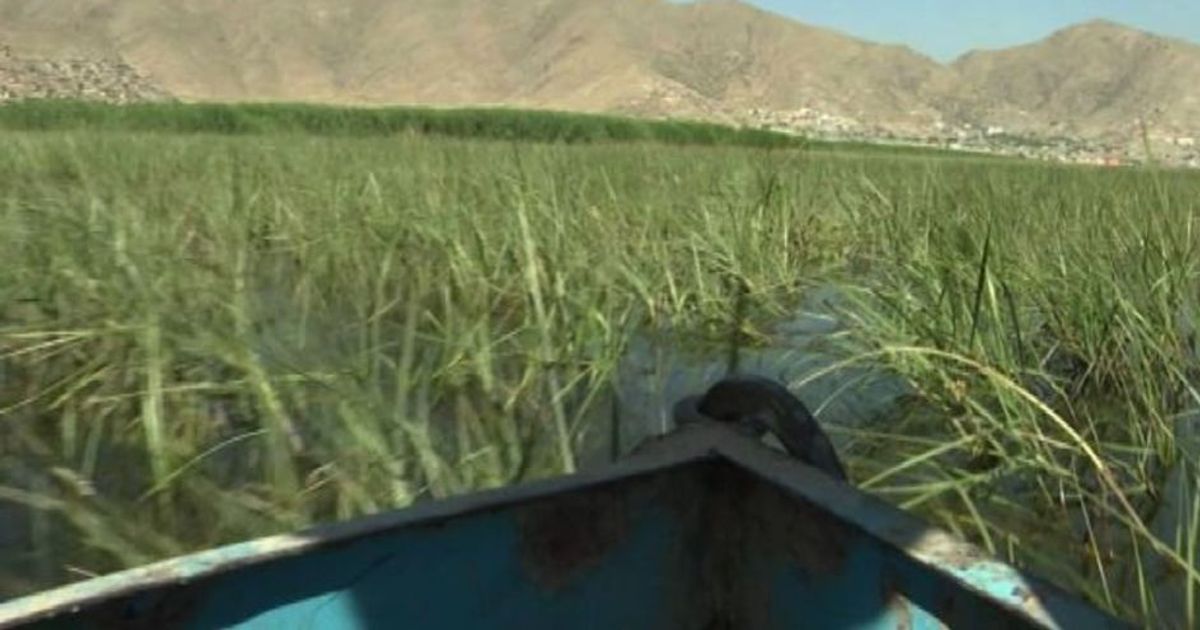 Afghanistan, zona umida nei pressi di Kabul sotto protezione Onu