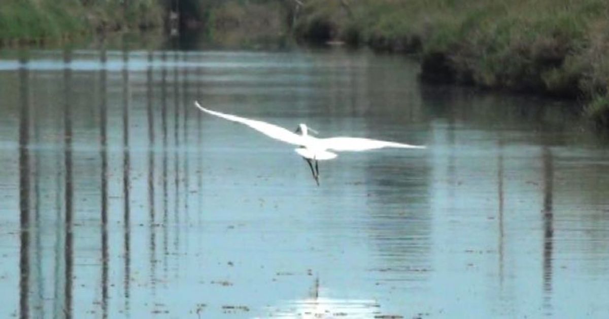 Mare, natura, arte e buon cibo: ora la vacanza si fa esperienza