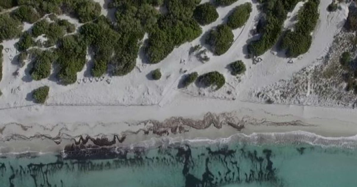 Ambiente, progetto Res Maris per salvare il mare e l’ecosistema