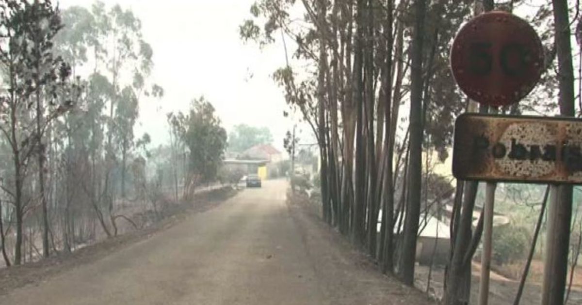 Portogallo, la devastazione dopo il rogo