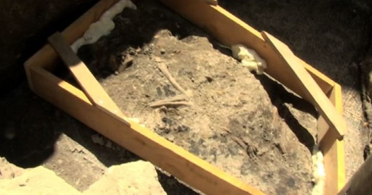 Roma, mobilio e scheletro di cane del III secolo in scavi metro C