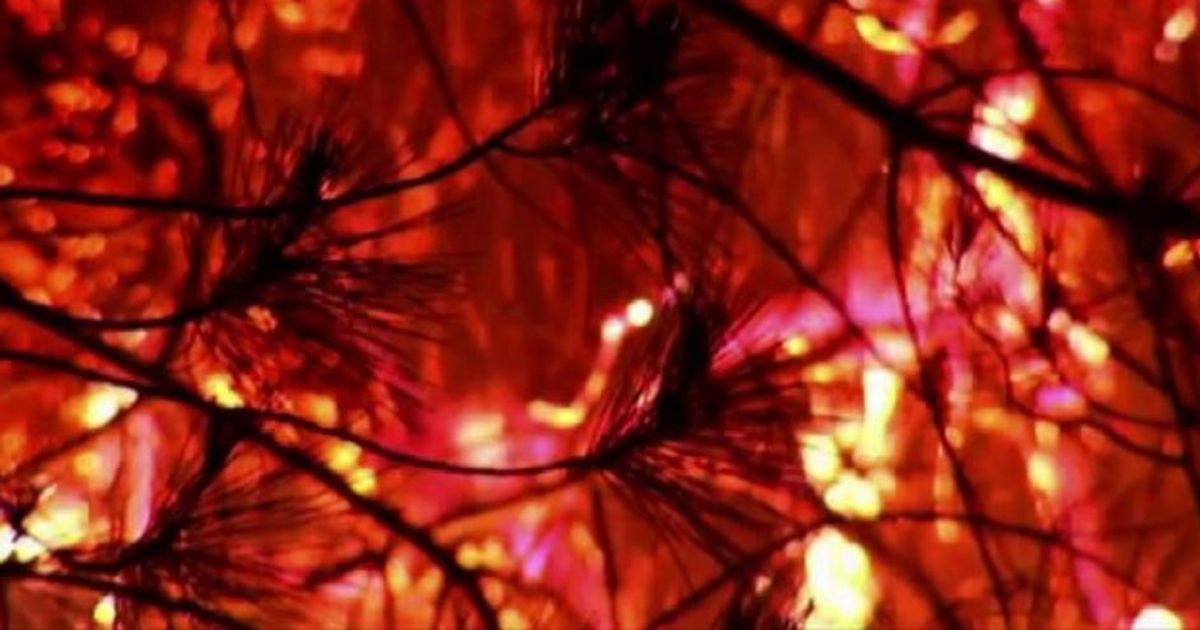 Spagna, prosegue lotta contro incendio parco naturale Andalusia