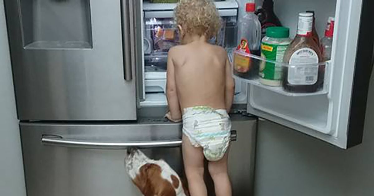 Un’alleanza perfetta per saccheggiare il frigo!