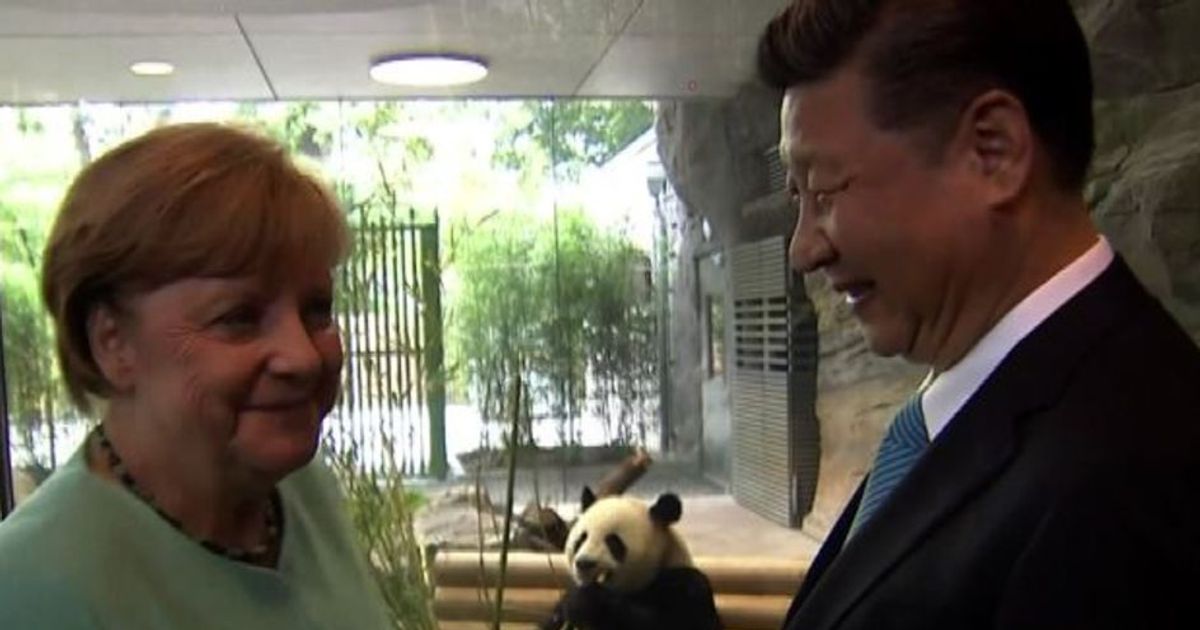 La diplomazia del panda, Merkel e Xi Jinping allo zoo di Berlino