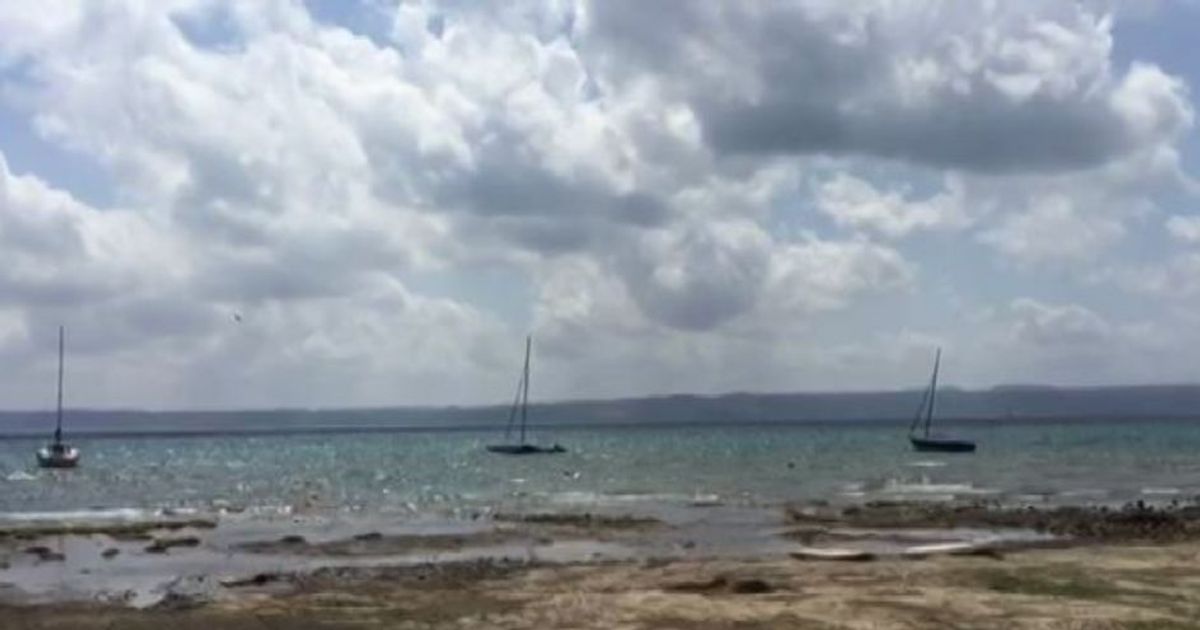 Comuni del Lago di Bracciano in allarme: ecosistema a rischio