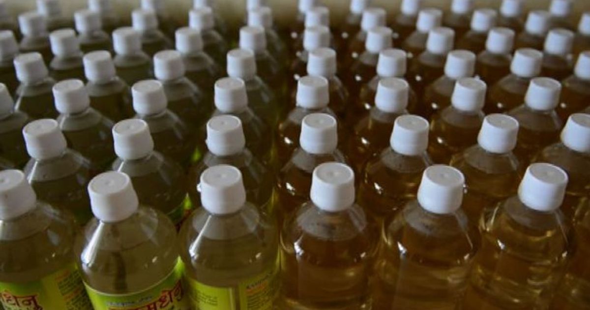 L’urina di vacca? In India si usa per curare diabete e cancro