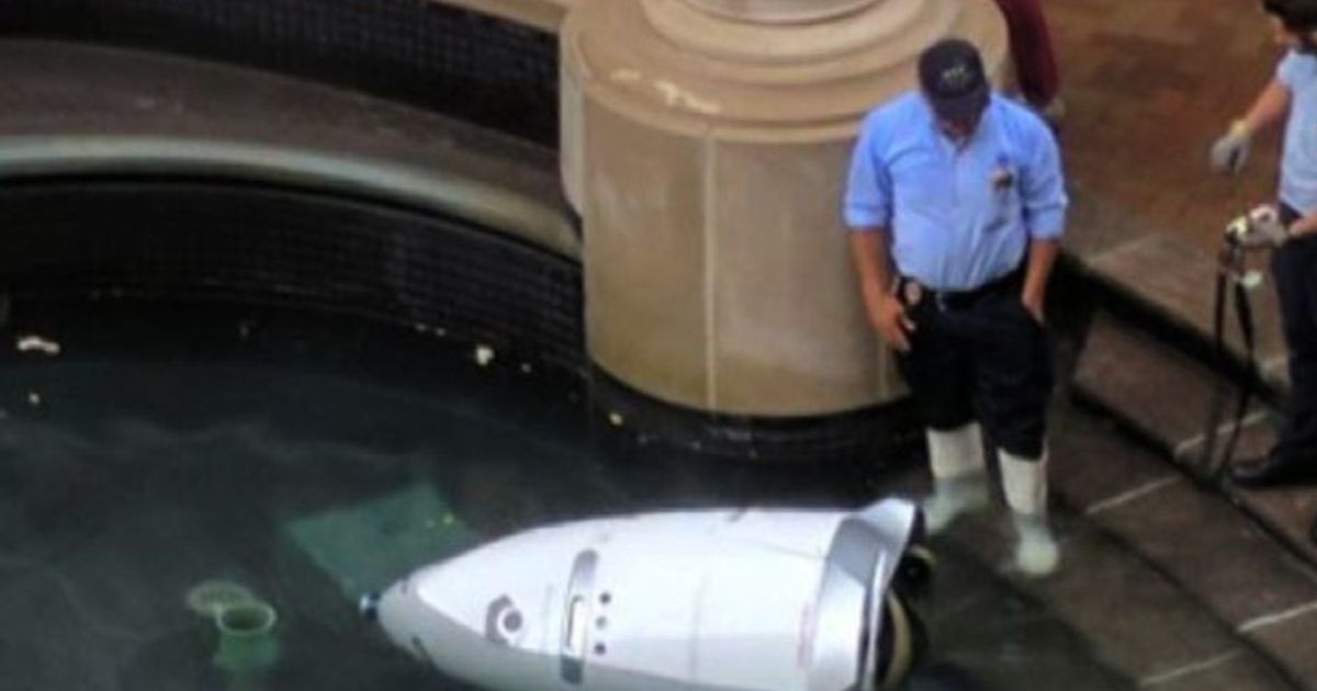 Usa, sostituito robot caduto nella fontana: ma è il futuro