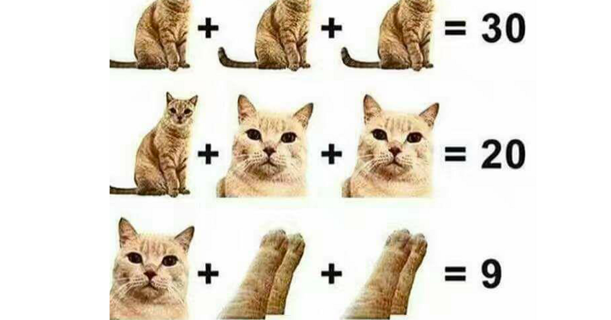 L’operazione dei gatti che non tutti riescono a risolvere
