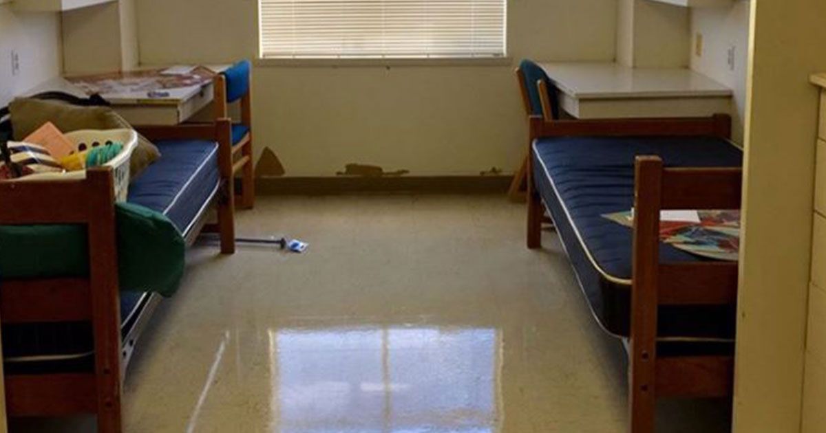 Due matricole trasformano il dormitorio in una stanza di lusso