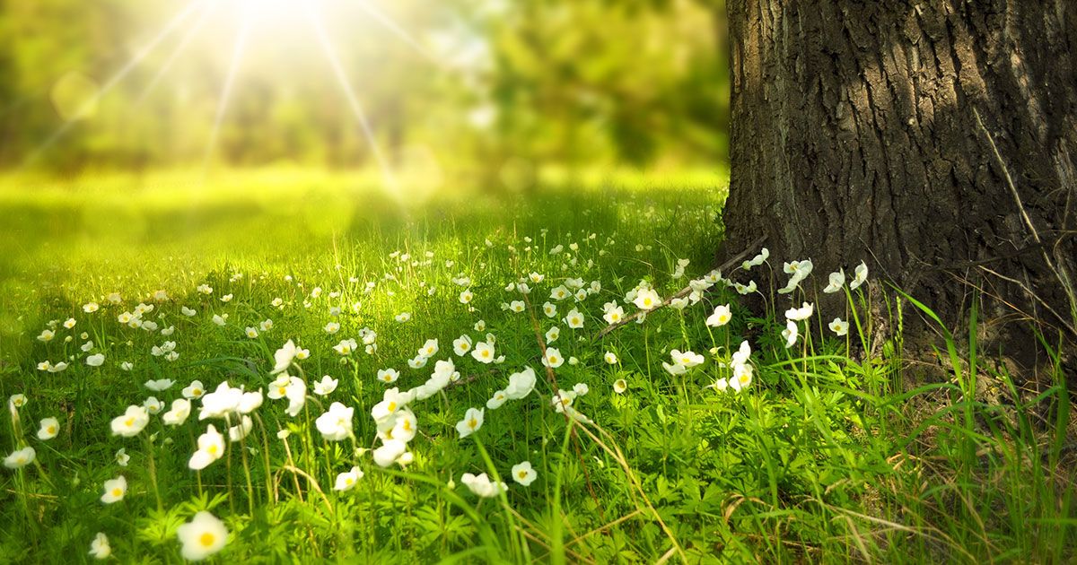 Pasqua a rischio? Come sarà il tempo