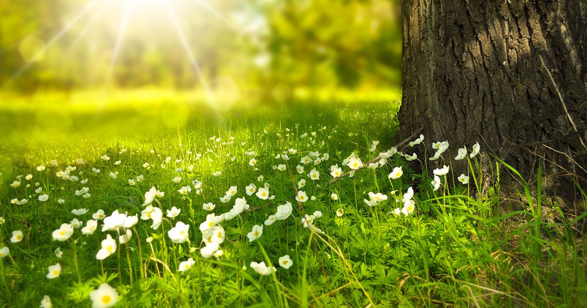 Estate in arrivo? Come sarà il meteo delle prossime settimane