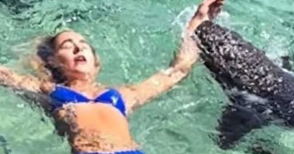 La modella cerca lo scatto perfetto: ma lo squalo le morde la mano