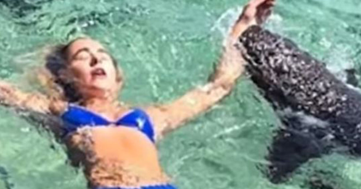 La modella cerca lo scatto perfetto: ma lo squalo le morde la mano