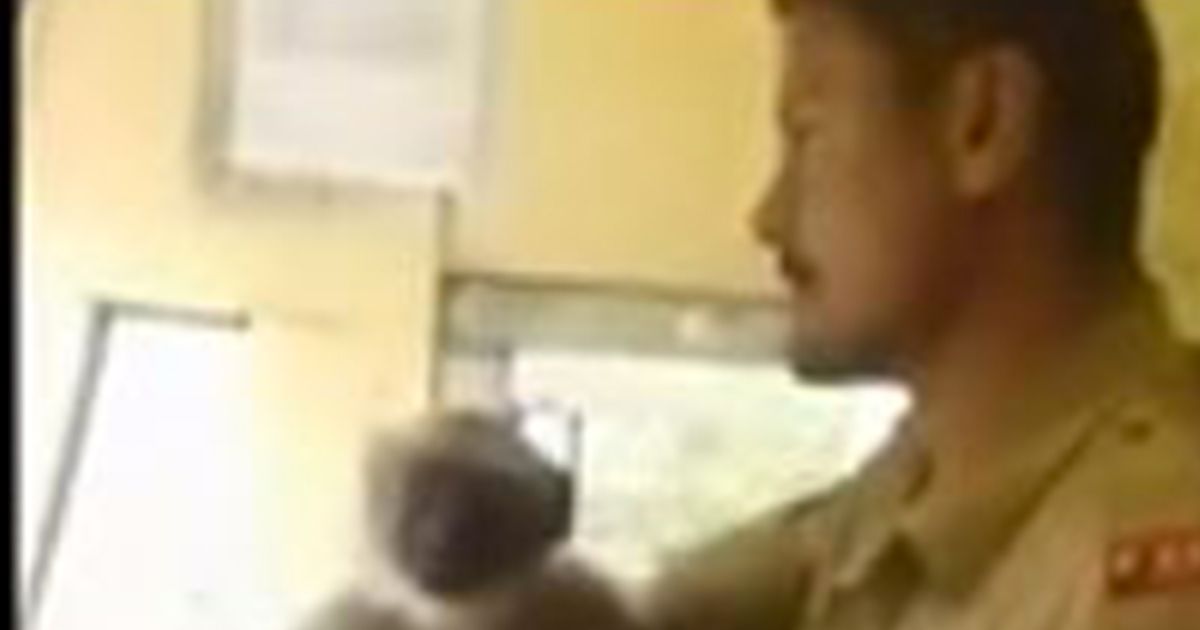 Autista fa guidare l’autobus alla scimmia: sospeso
