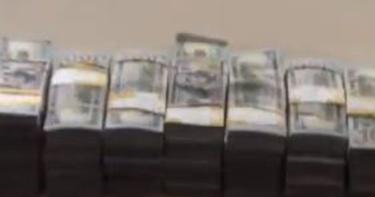 Compra un box per pochi soldi e ci trova dentro 7,5 mln di dollari
