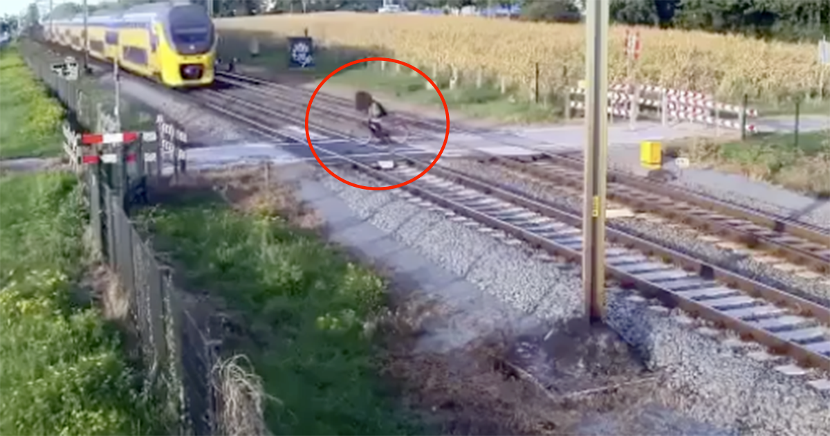 Il ciclista attraversa i binari: si salva all’ultimo secondo