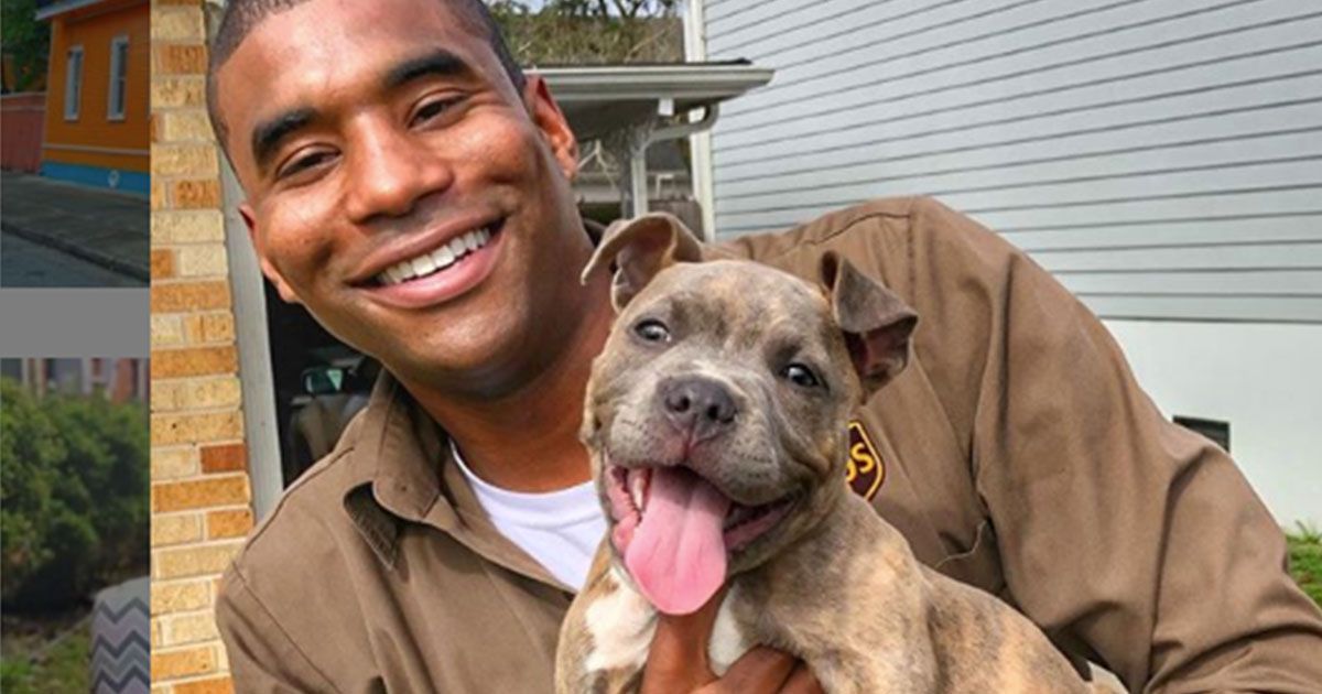 Un fattorino sta spopolando sui social grazie ai selfie con i cani
