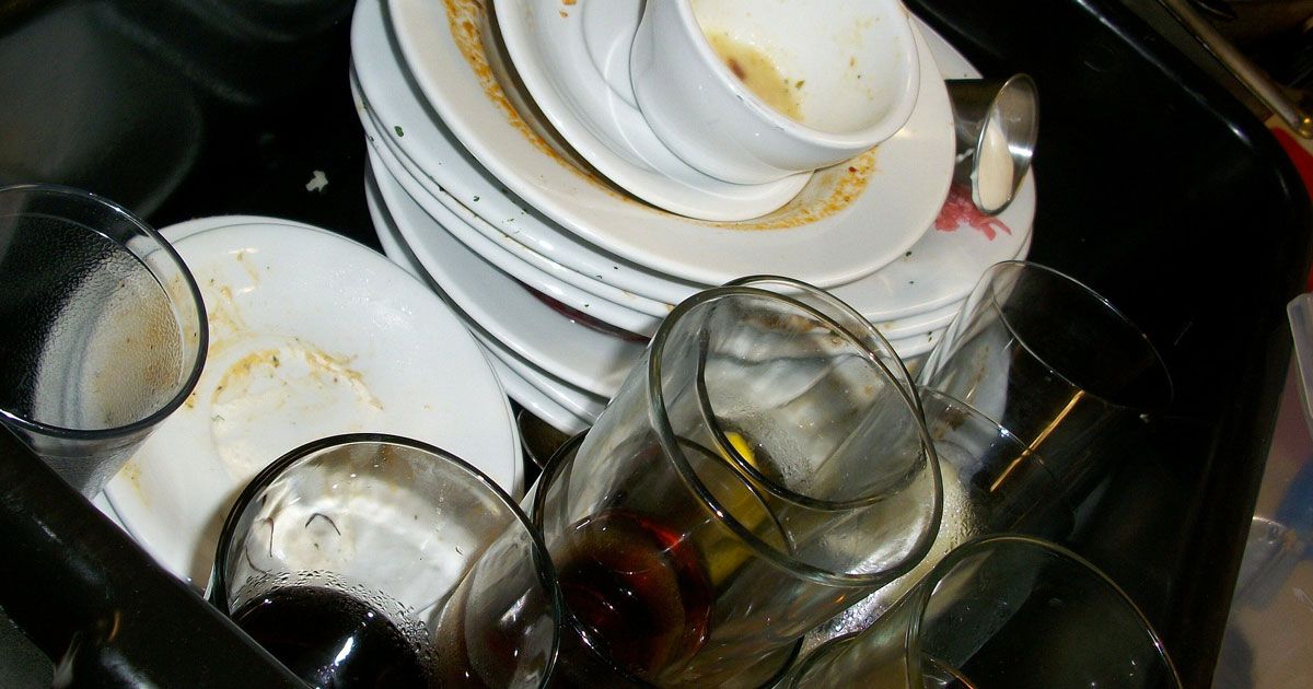 Entrava di nascosto nelle case altrui per lavare i piatti e coccolare i cani: arrestata