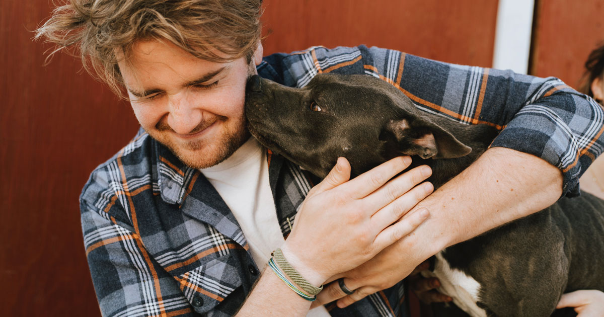 COME SI CHIAMA IL CANE GAY DI STAN COME SI CHIAMA IL CANE GAY DI STAN