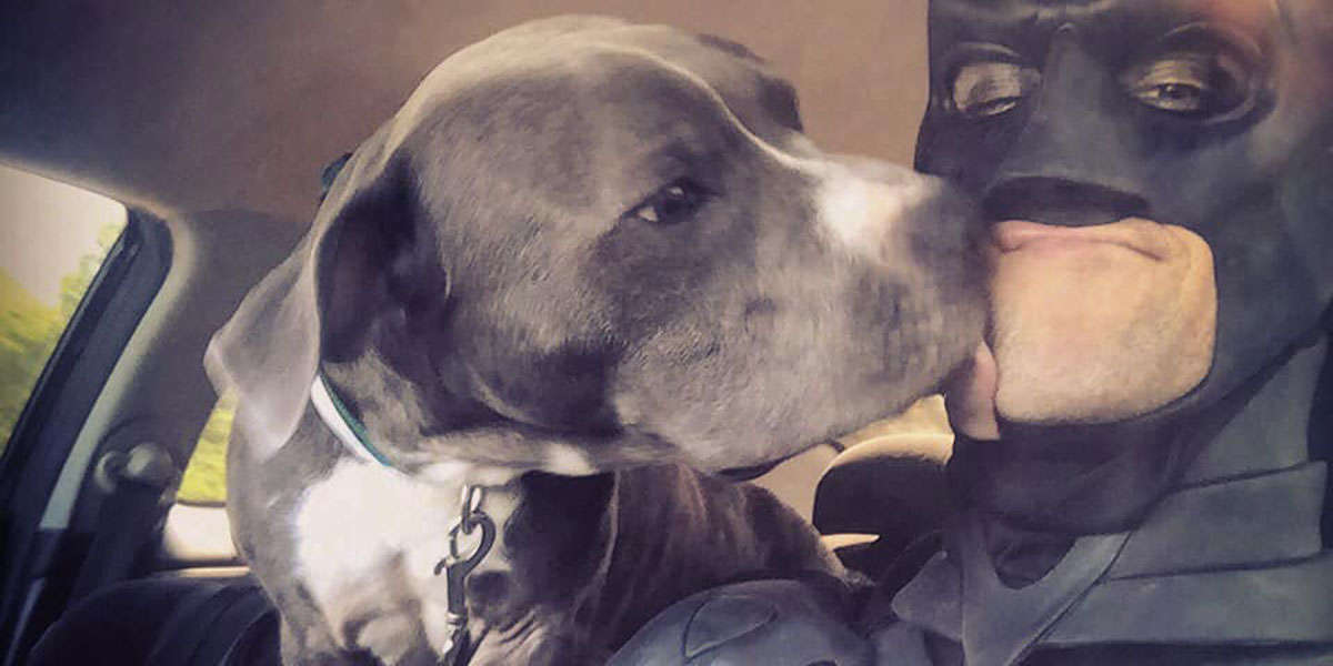 Il Batman che aiuta cani e gatti a trovare una casa
