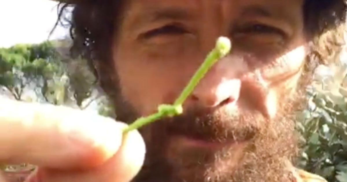 Jovanotti lancia su Instagram la “Picciolo Challenge”