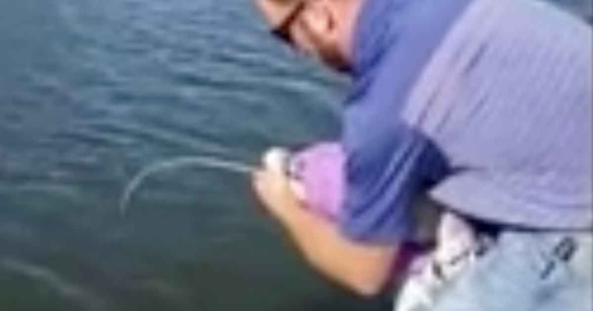 Bambina di quattro anni prende all’amo un pesce da 15 kg