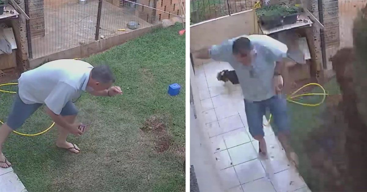 L’uomo che fa saltare in aria il giardino per allontanare gli scarafaggi: il video virale