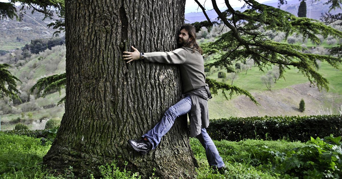 Dall’Islanda arriva una raccomandazione: “abbracciate gli alberi”