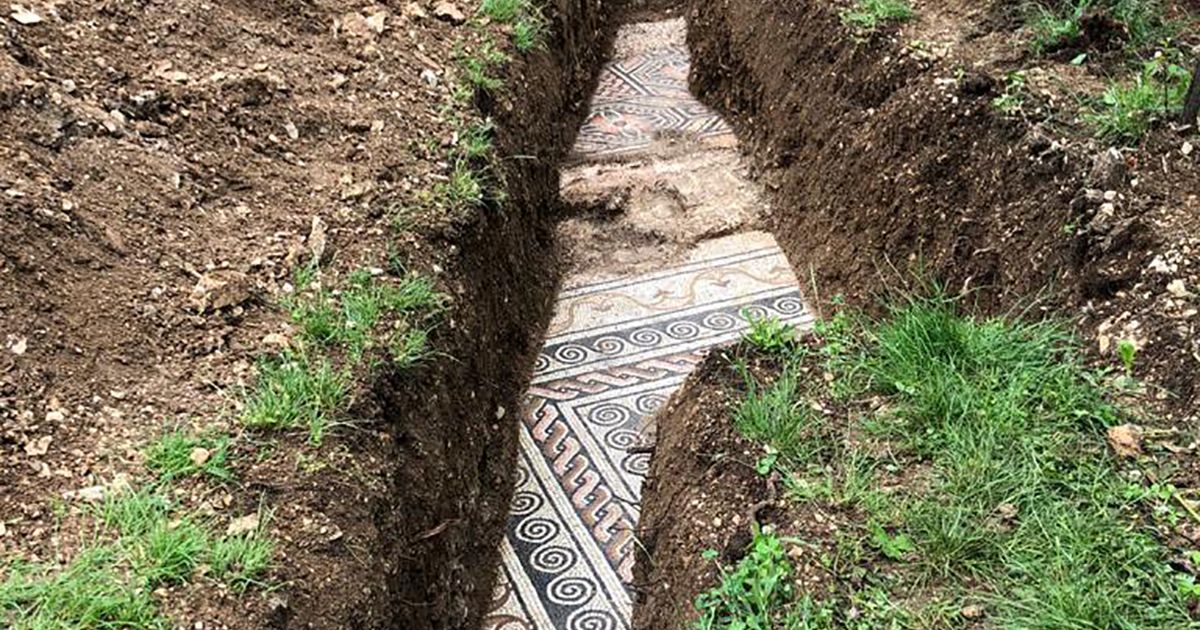 Sotto i vigneti in Valpolicella scoperto mosaico di un’antica villa romana