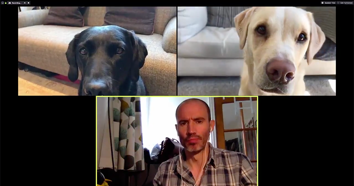 Riunione di lavoro in video conferenza…con i suoi cani. Il video del giornalista è divertentissimo