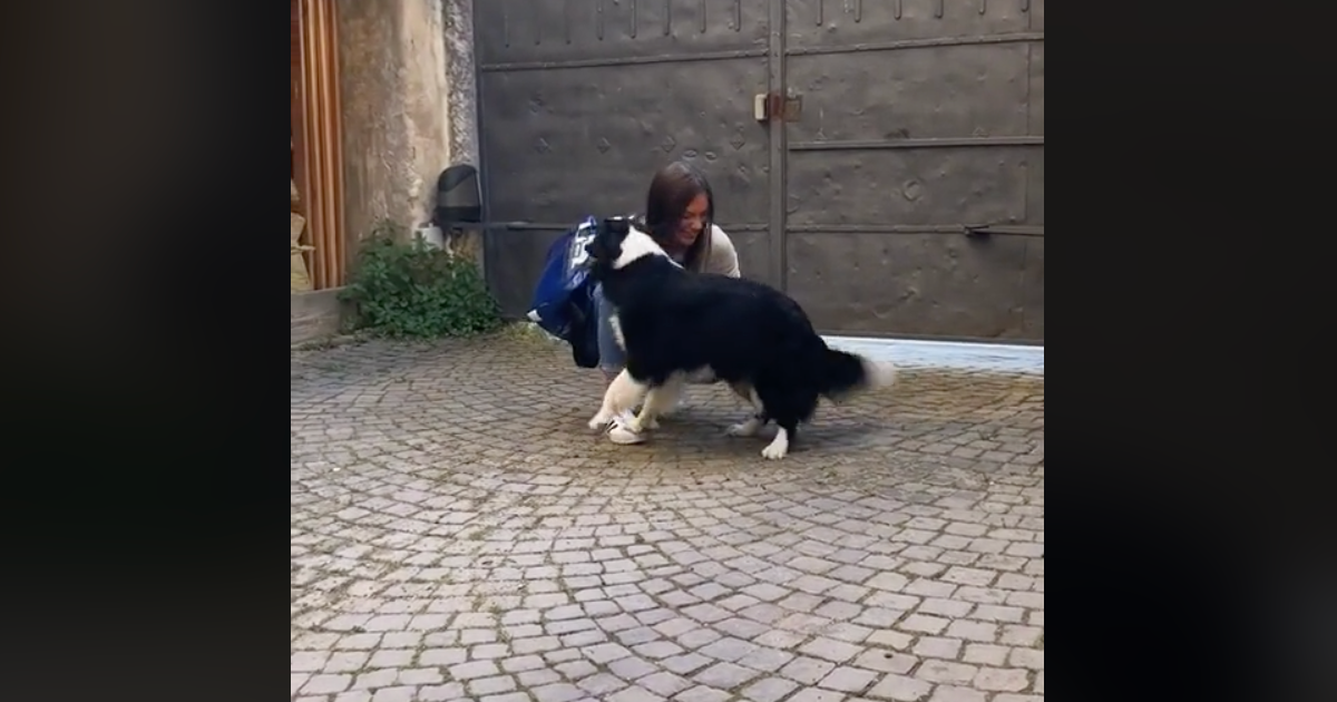 Torna dopo due mesi di quarantena dal suo cane, la reazione è commovente