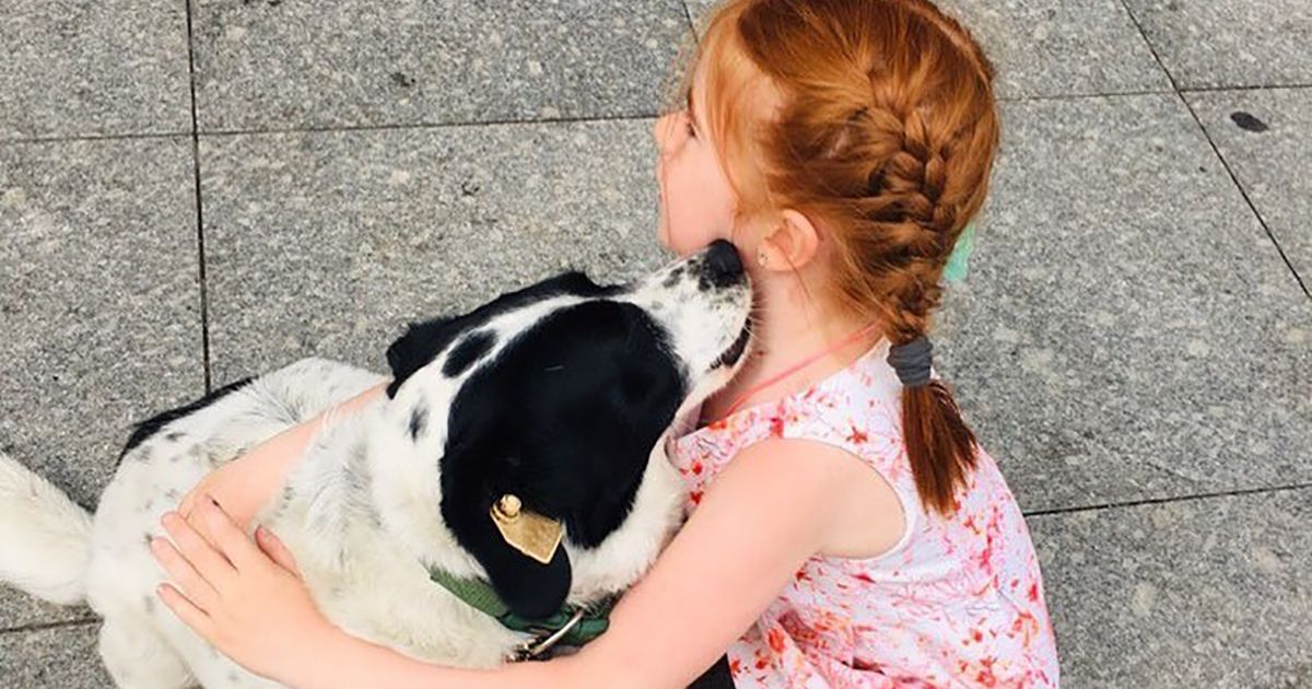 Kupata è un cagnolino dolcissimo che aiuta i bambini ad attraversare la strada in sicurezza