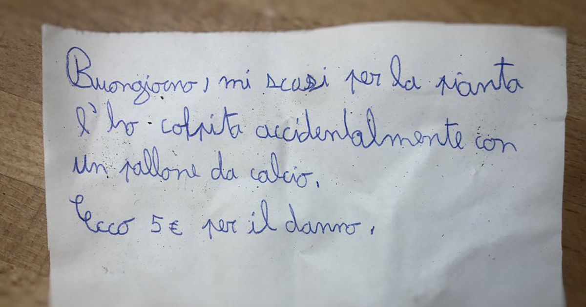 Le scuse del bambino e il prof che scrive: “Il mio corso di Etica Pubblica partirà da qui