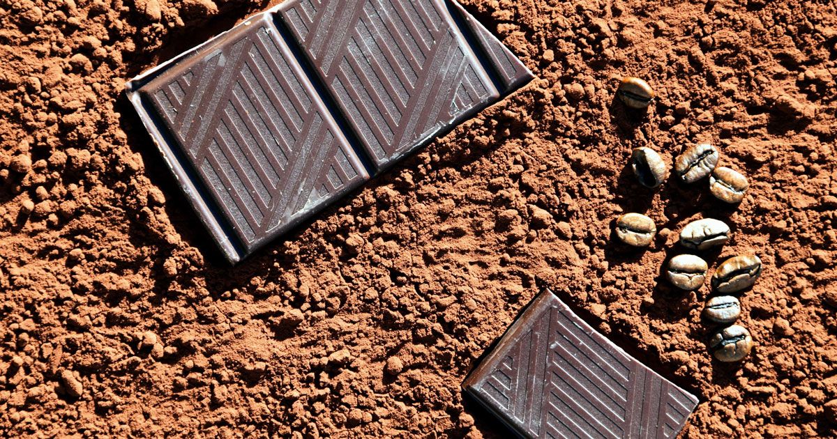 Guasto alla Lindt di Olten, la cittadina viene ricoperta da una pioggia di cioccolato