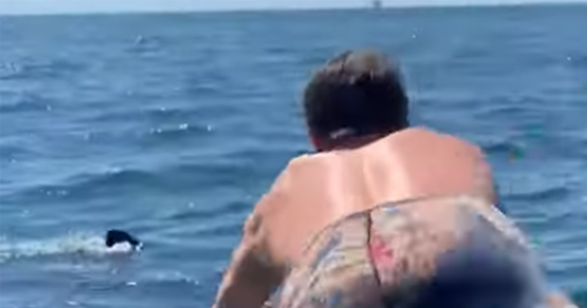 Si tuffa nell’oceano ma non si accorge dello squalo bianco: il video