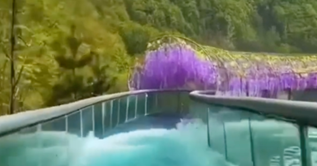 L’incredibile scivolo acquatico che “vola” attraverso fiori e glicini
