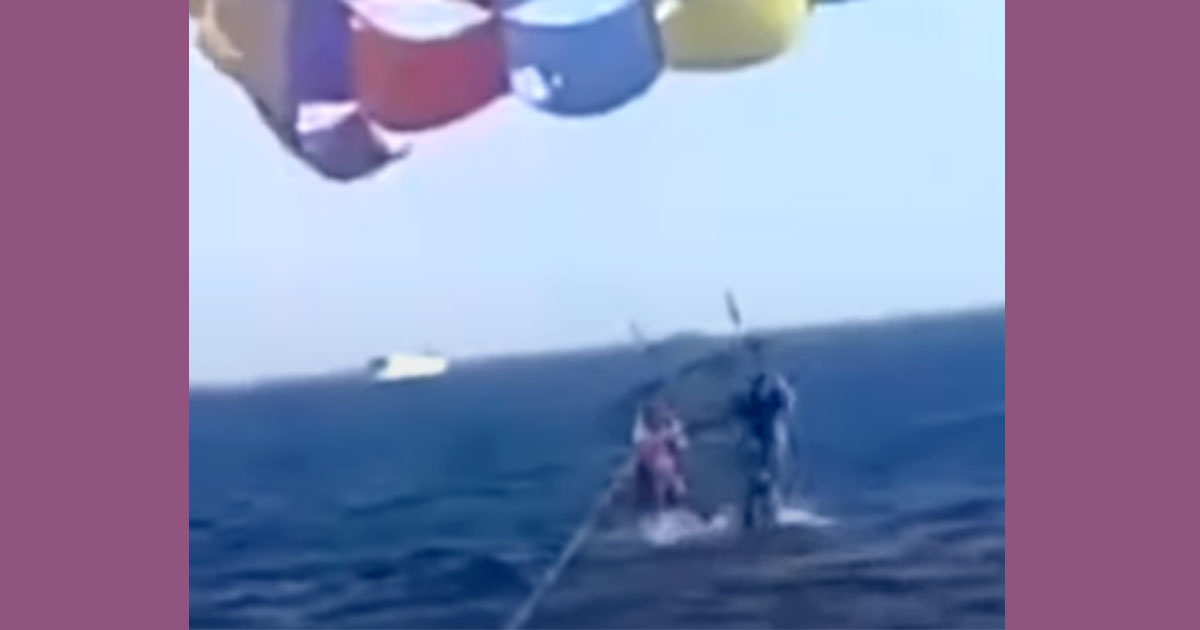 Fa parasailing in tandem nel Mar Rosso: uno squalo salta fuori dall’acqua e gli morde il piede