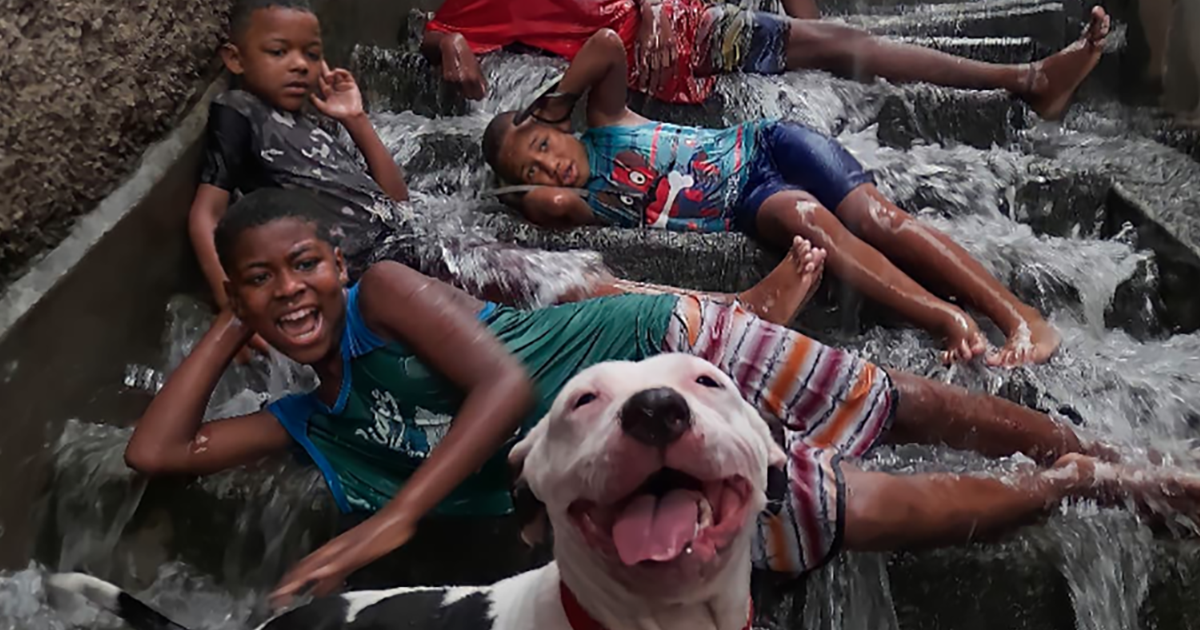 Il Pitbull Bela gioca con dei bambini nel bel mezzo di un diluvio