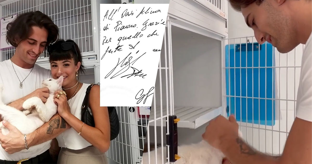 Damiano David e Giorgia Soleri adottano un micio maltratto: benvenuto Ziggy Stardust