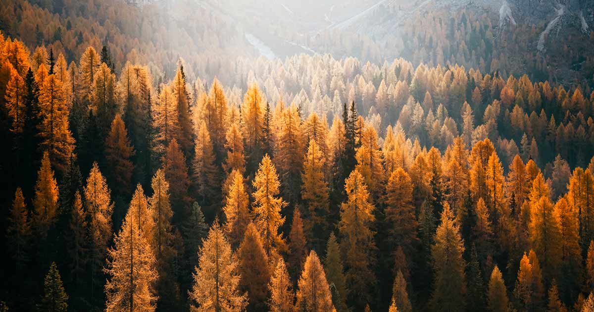 Equinozio d’autunno 2022: ecco perché è il 23 settembre e non il 21