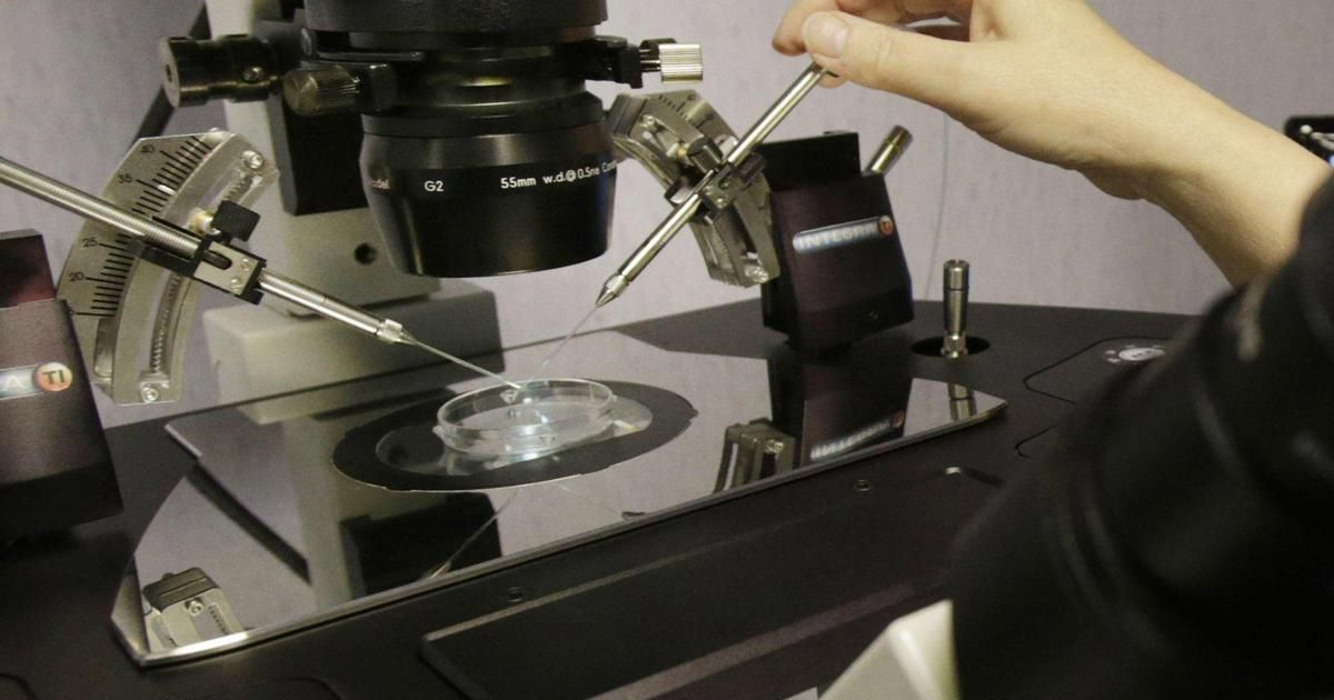Fecondazione, nato primo bimbo in Gb con Dna di 3 ‘genitori’