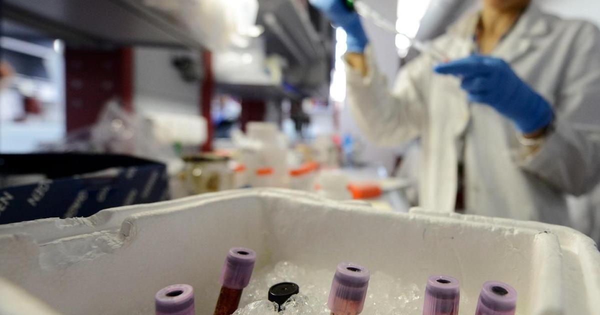 Creati i primi embrioni umani sintetici ottenuti da cellule staminali