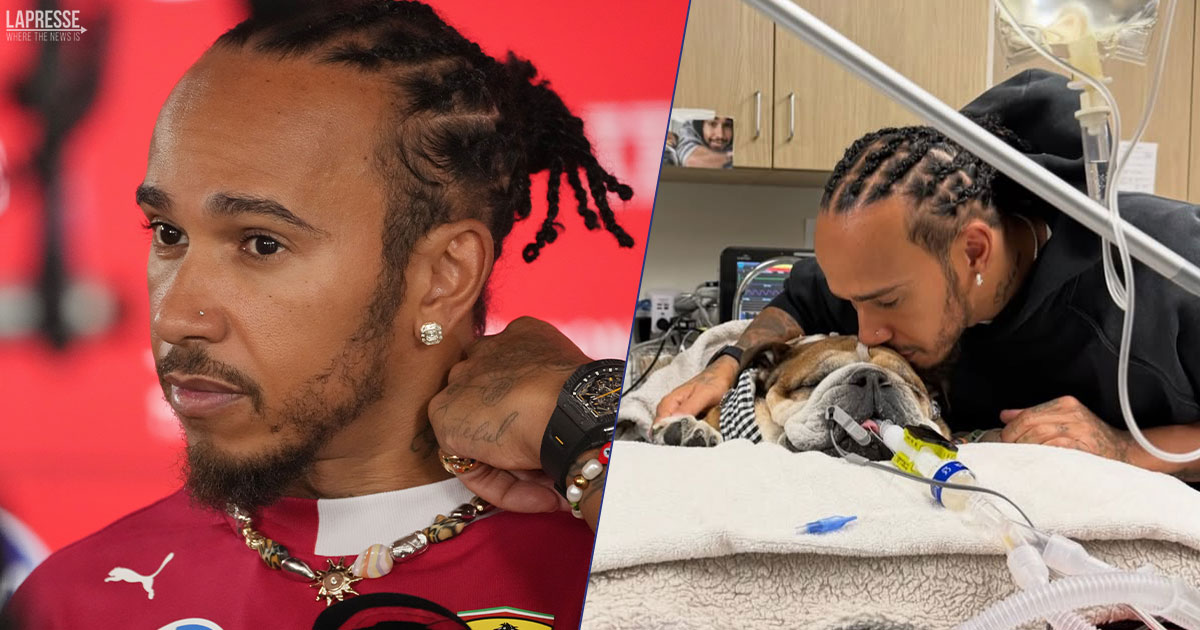 Hamilton in ansia per il suo cane Roscoe: gli aggiornamenti sui social dall’ospedale