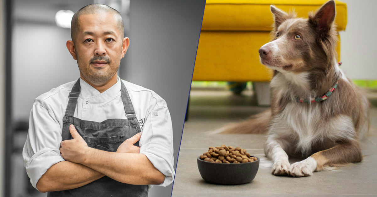 “Sono uno chef di cibo per cani e assaggio sempre tutto prima di inscatolarlo”