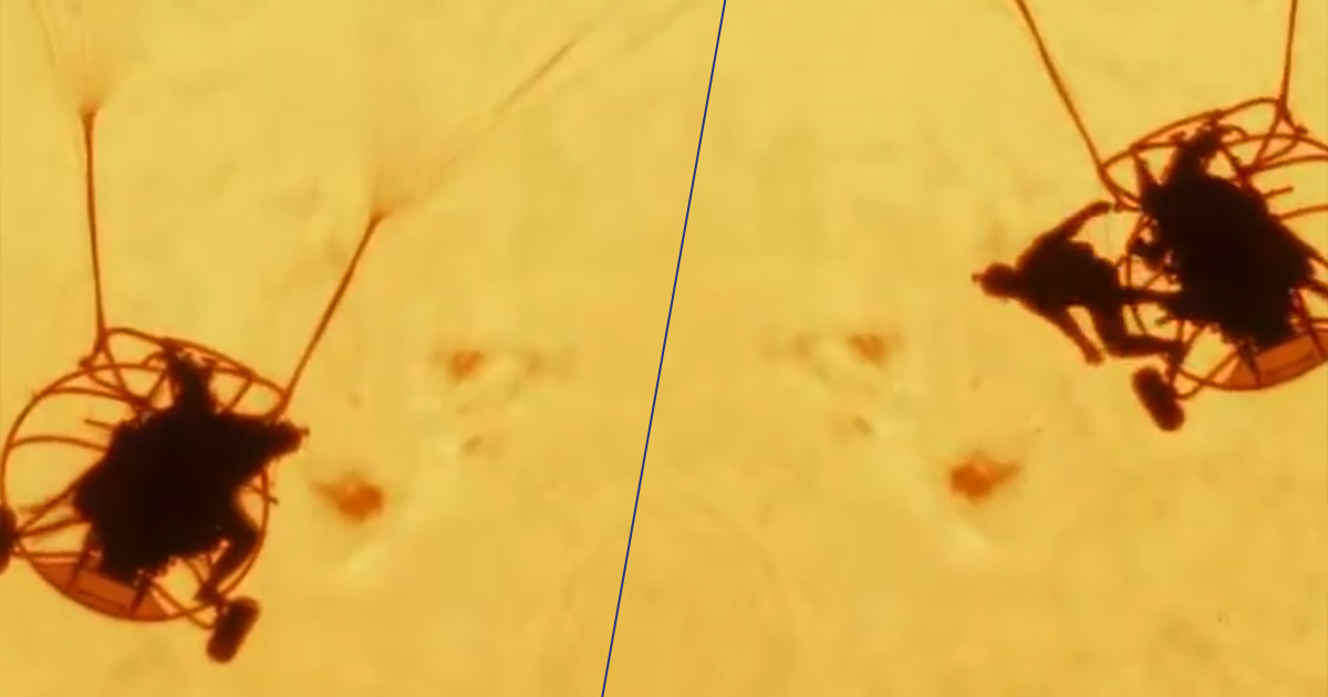 Un paracadutista che si lancia sul sole: ecco la foto dell’anno
