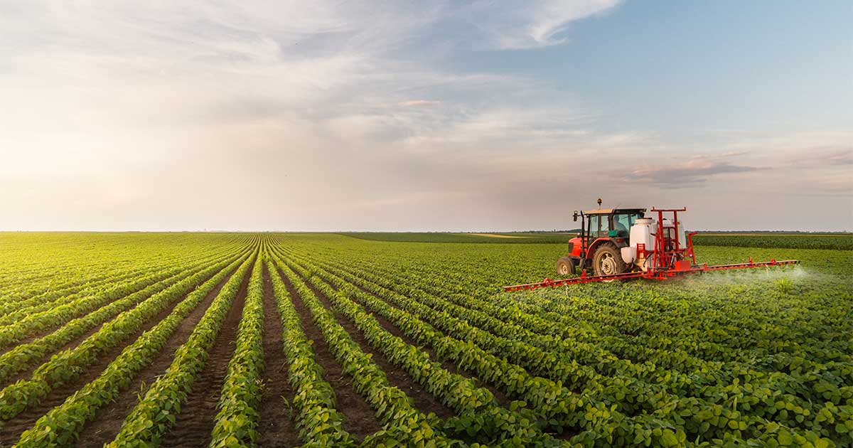 LItalia sceglie di essere sempre pi bio crollano del 18 in 10 anni le vendite di pesticidi ed  unottima notizia per tutti